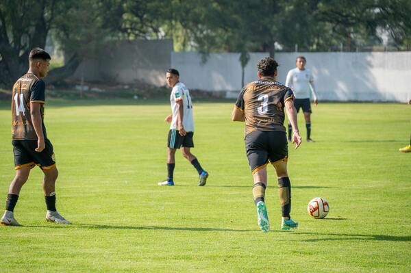 世界羽毛球锦标赛：中国队包揽全部金牌