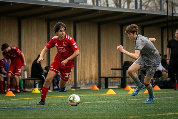 消费复苏明显，文旅与节庆经济持续升温