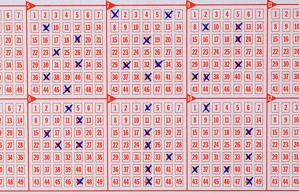 彩票销售结构调整，数字渠道占比提升