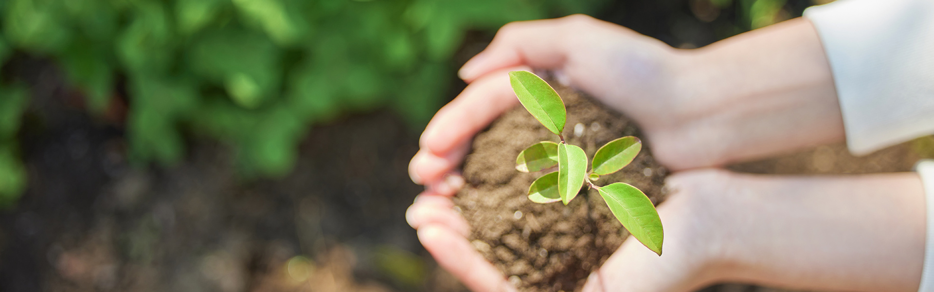 体育博彩公益日活动