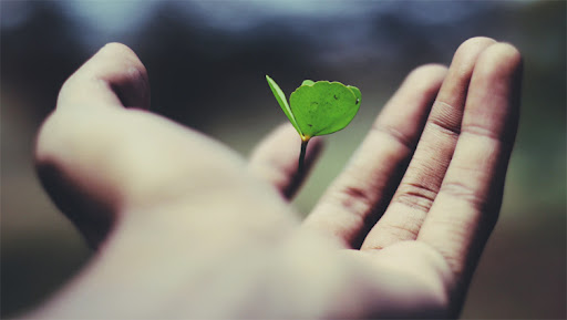 体育博彩公益奖助学金