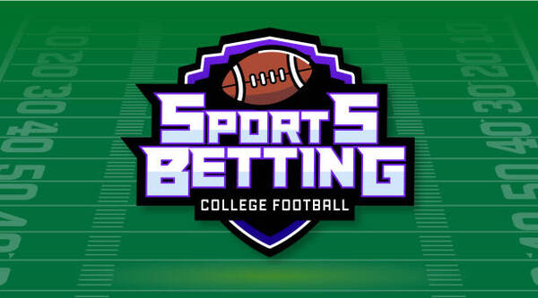 资金管理技术指导：风险控制与收益优化